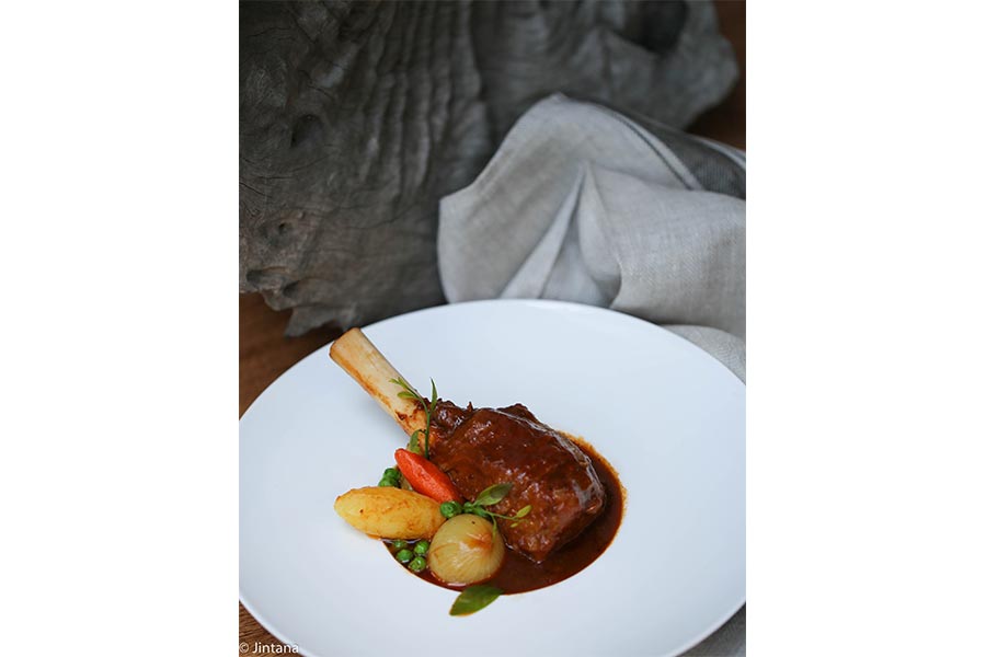 lamb004