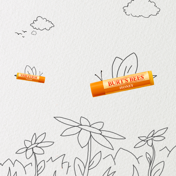 Burt's Bees LipBalm