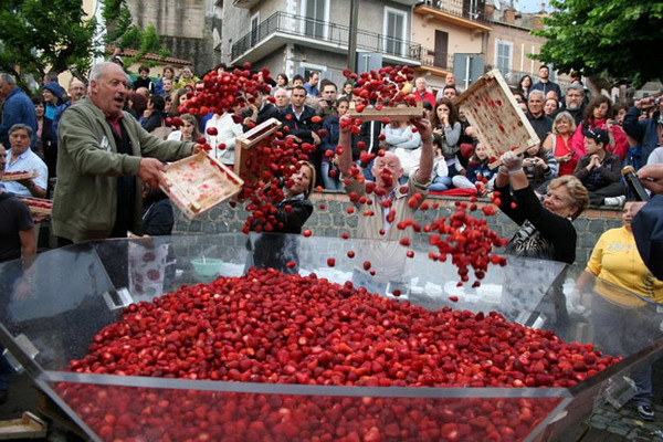 Wild Berry Festival Italy