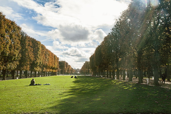 City Break PARIS Arrondissements & Accommodation 11