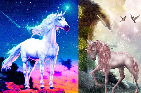Unicorn 6