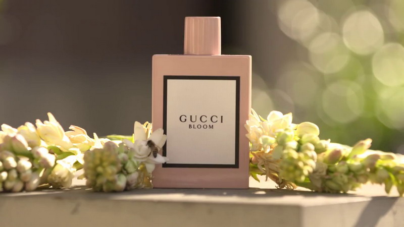 Fashion Holiday Gifts Giving Idea 4