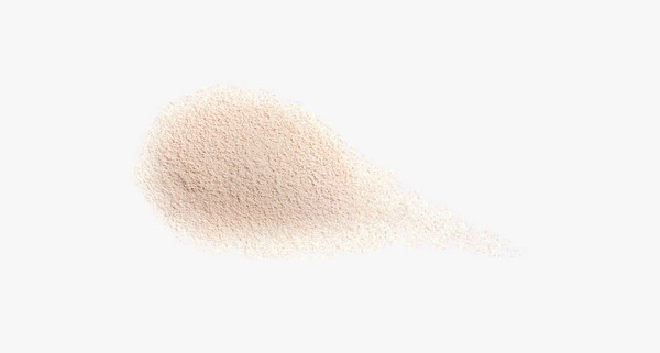 Shiseido White Lucent Brightening Skincare Powder N 4