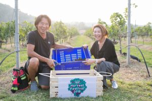 16_ผู้เข้าแข่งขันเก็บองุ่นไวน์ เทศกาล Harvest Festival 2018_resize