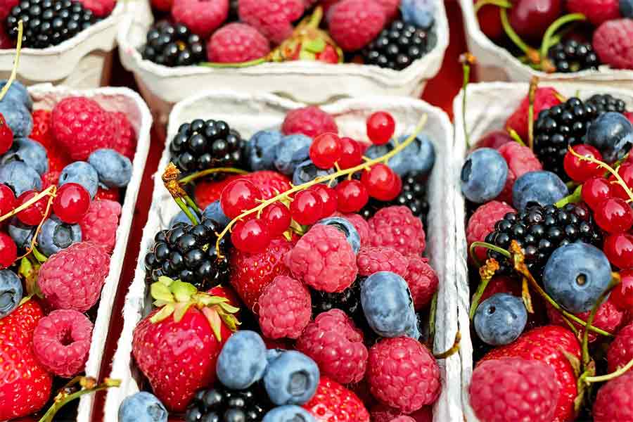 healthfruit02